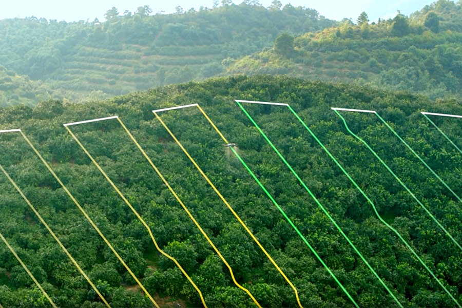 Vuelo con Dron en cultivos con pendiente mapas