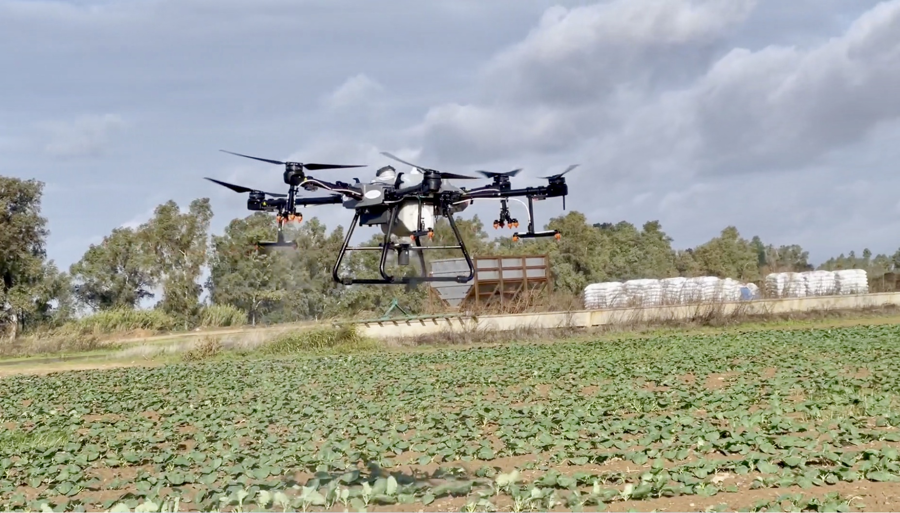 FertiDron aplicando tratamiento dron hortícolas