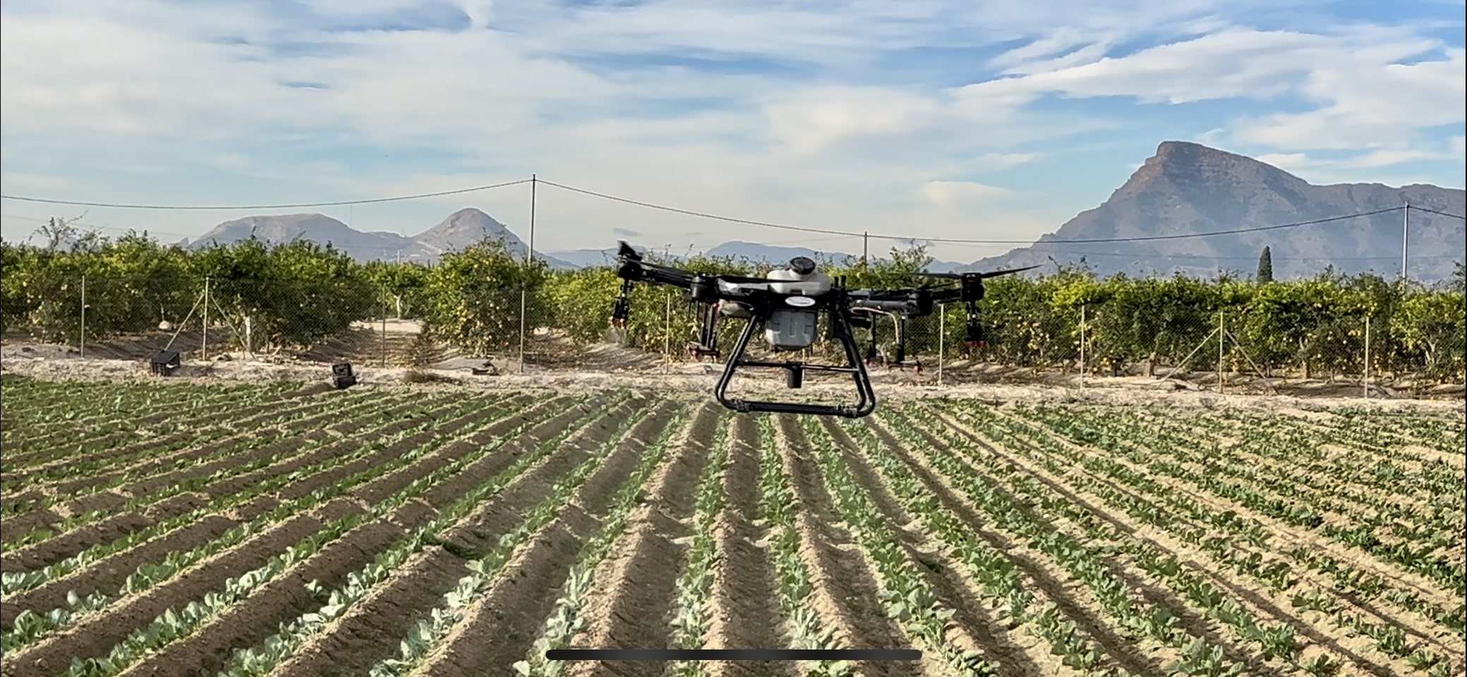 aplicacación dron t30 abono cultivos extensivos horticolas